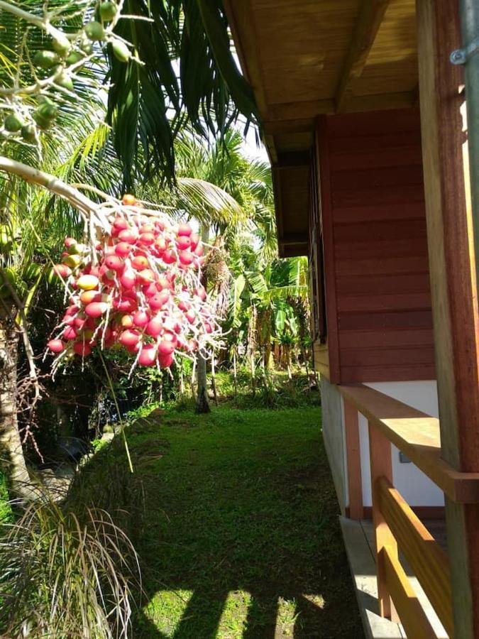 Un Cosy Sous Le Vent Vila Gourbeyre Exterior foto